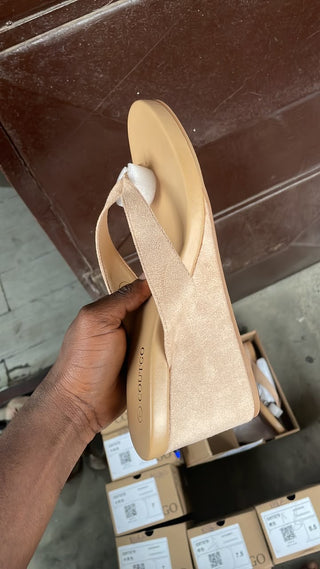 Coutgo Nude Wedge