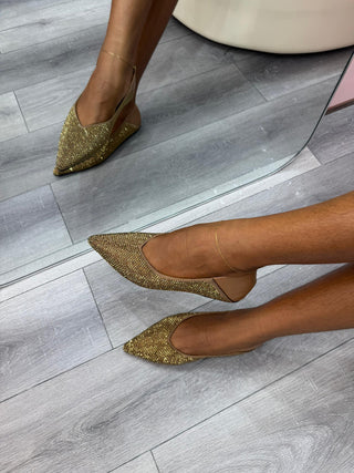 Zoya Gold Flatshoes