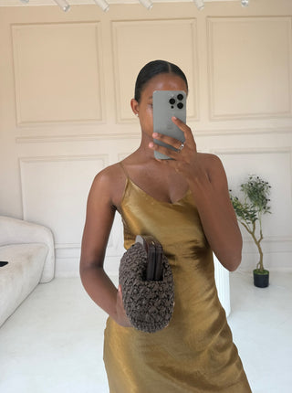 PALOMA Taupe Woven Frame Clutch Bag