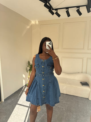 Denise Denim Mini Dress