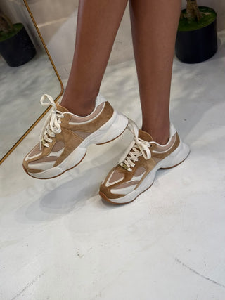 Sofia Tan & Sand Suede Sneaker