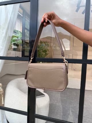 Paz Brown Coach Bag