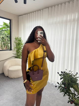 Adriana Maroon Mini Bag