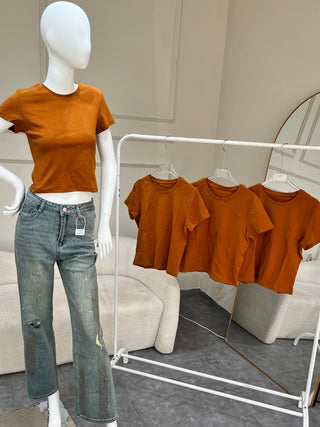 Rosita Mustard Basic Top